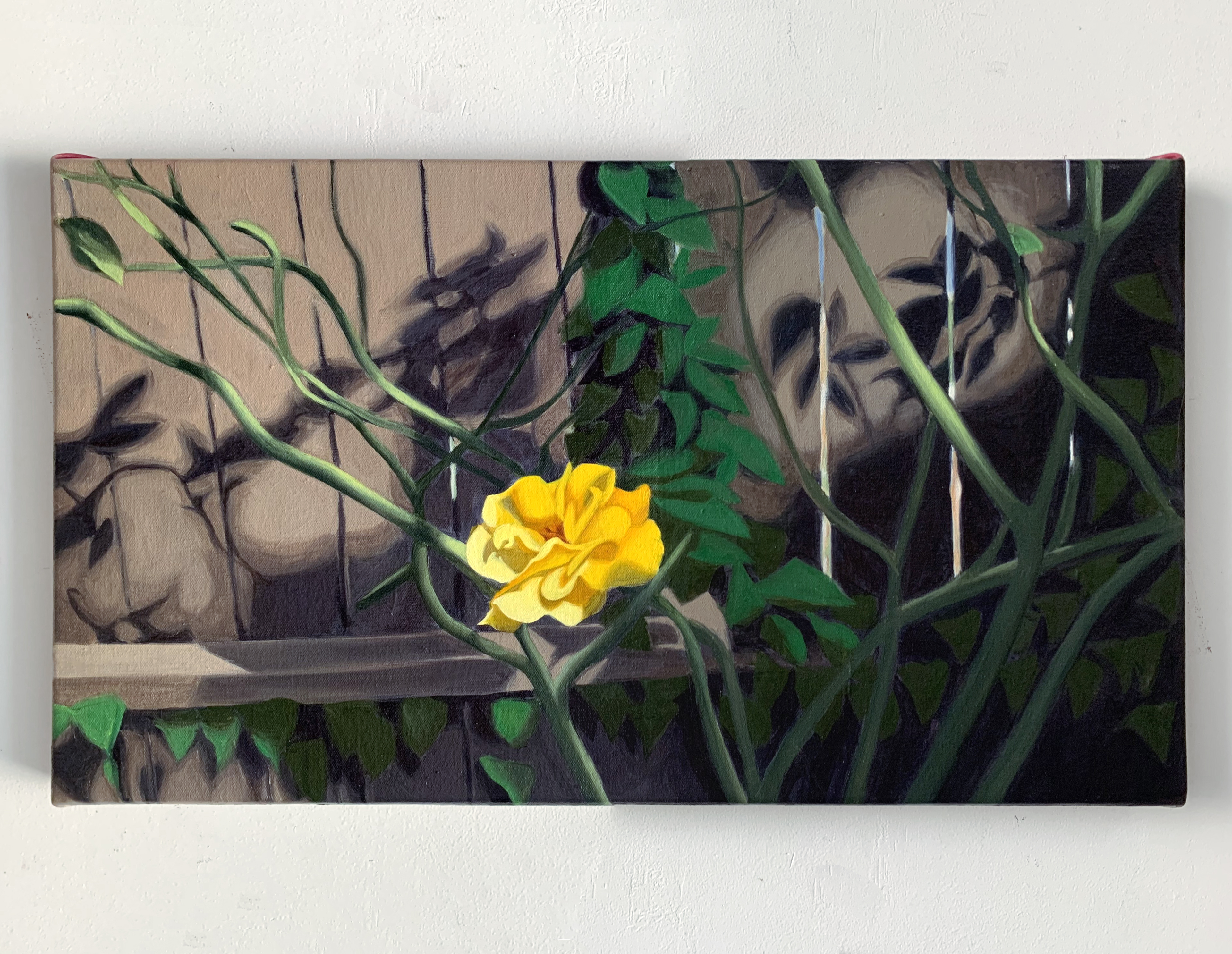 Somatic, 14.5x26” 2022 <br>oil on canvas<br><br>